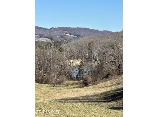 Bob Wright Rd lot: 41, Maynardville, TN 37807