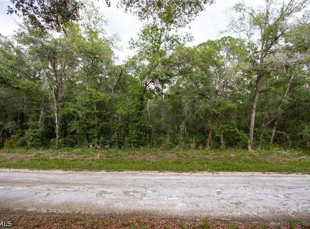 7398 Southeast Avenue, Webster, FL 33597