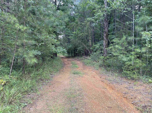 Co Rd 24, Eldridge, AL 35554