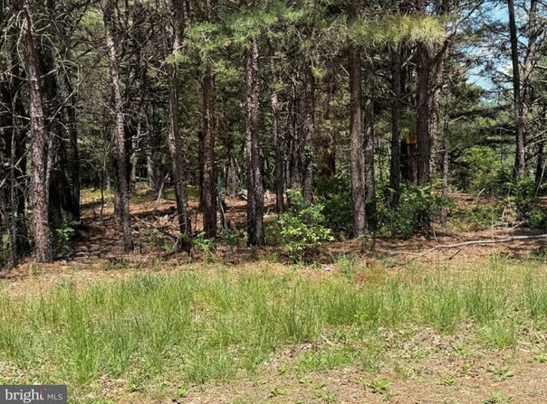 ORNDORFF WAY lot: 89, YELLOW SPRING, WV 26865