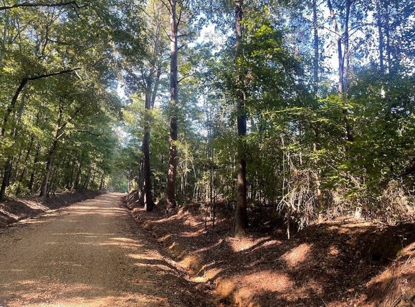 N County Line Rd, Maben, MS 39750