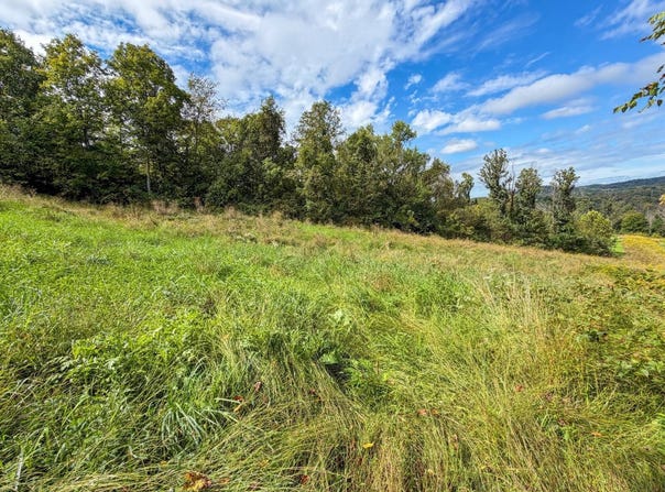 Boyd Ridge Rd., Bellaire, OH 43906