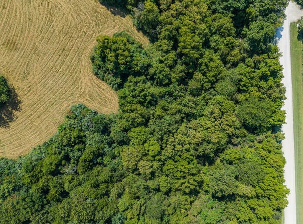 Tract 3 4.24 Ac County Rd 4008, Holts Summit, MO 65043