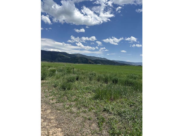 1 Diane Drive, Grace, ID 83241