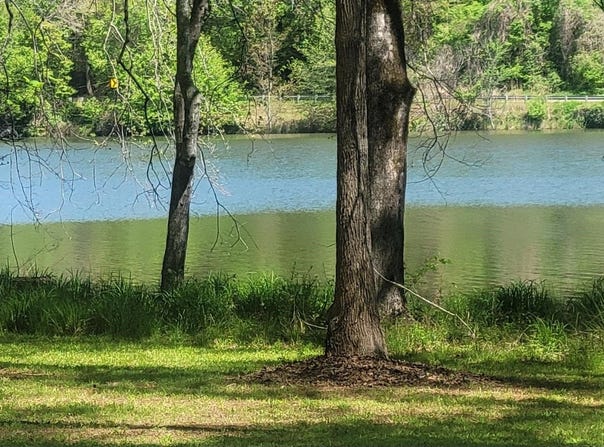 Riveroak Rd, Inman, SC 29349