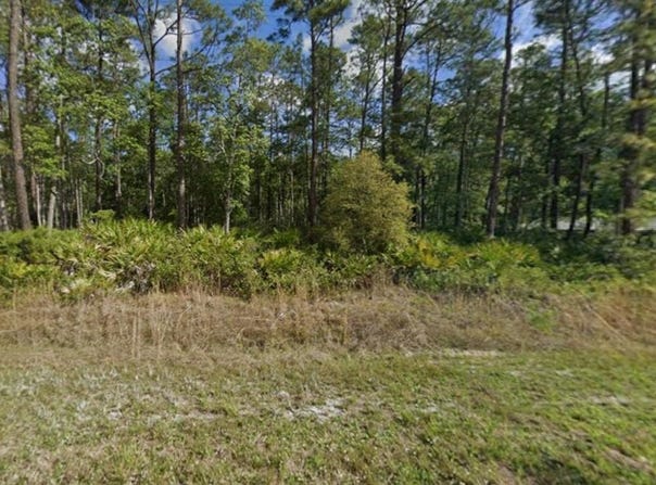 608 HICKORY NUT Trail, SATSUMA, FL 32189