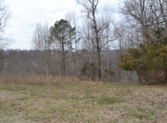 Fox Hill Road lot: 4&5, Baxter, TN 38544