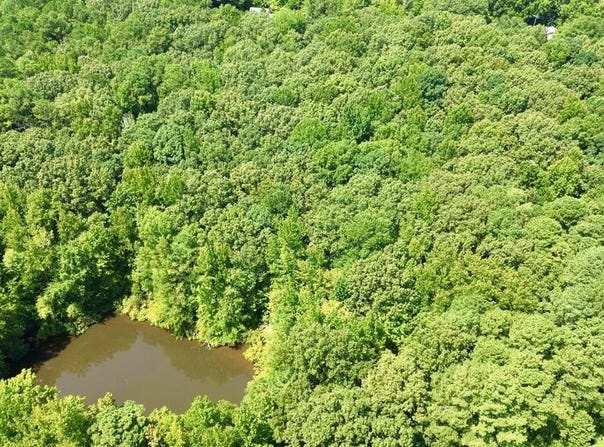 BOYDSVILLE RD, DRESDEN, TN 38225