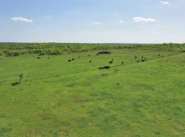 FM 175 Tract #2, Jacksboro, TX 76365