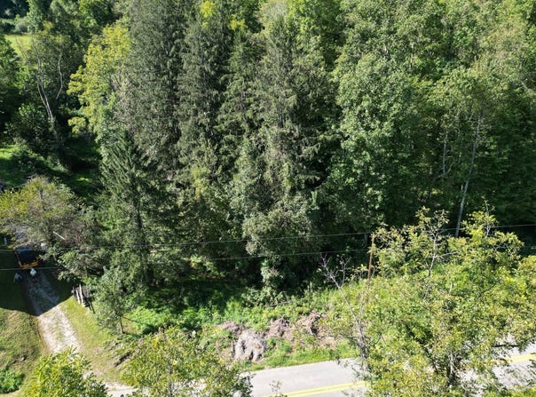 Russett Road, Grantsville, WV 26147
