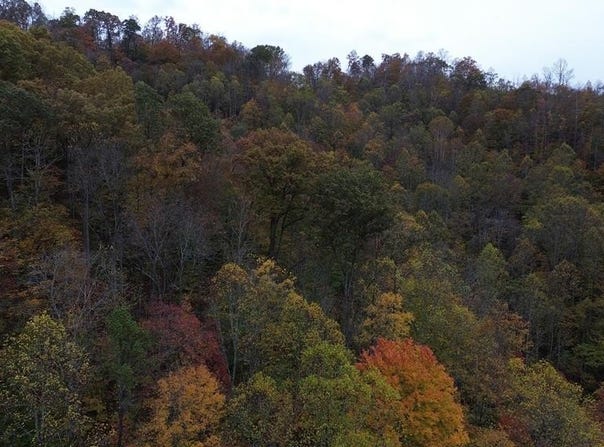 Roy Hill Rd., Hindman, KY 41822