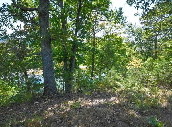 N Fork Village Street, Tecumseh, MO 65760