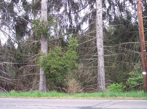 Pioneer Avenue lot: # 3, Shavertown, PA 18708