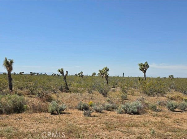 173rd E W-12, Llano, CA 93544