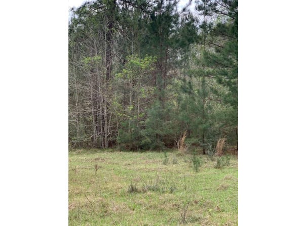 9470 US Hwy 96 S, Kirbyville, TX 75956