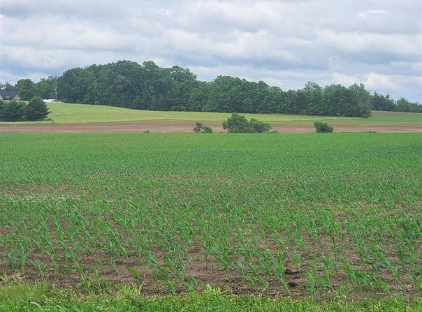 Witt Road, Franklin, KY 42134