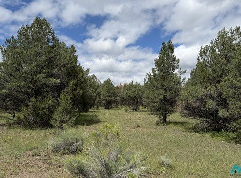 85 Largo Canyon Loop, Quemado, NM 87829
