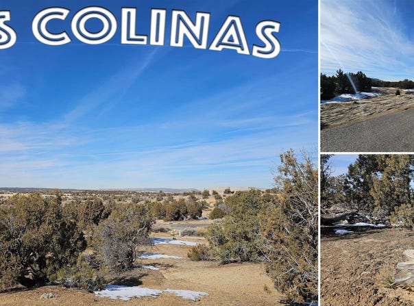 1811 Placitas Trail, Farmington, NM 87401