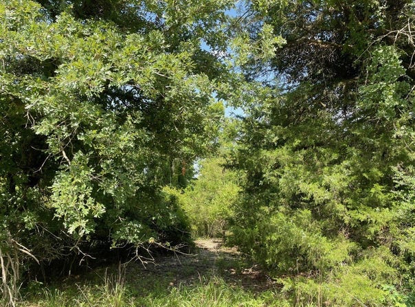 LCR 794, Groesbeck, TX 76687