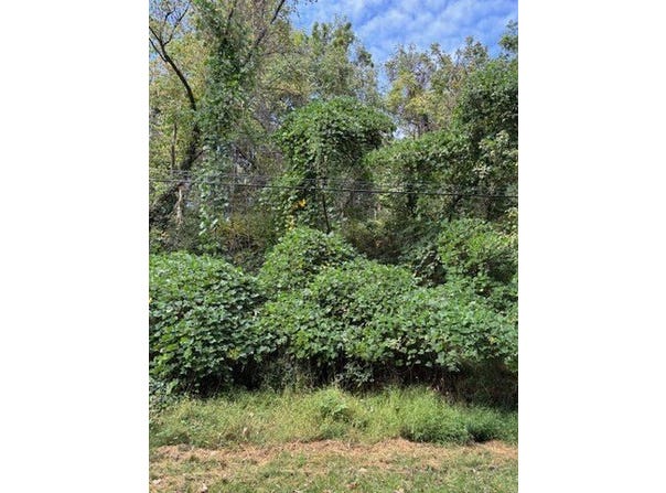 Varnell Ave NE, Roanoke, VA 24012