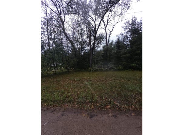 10241 Cathleen Drive, Harrison, MI 48625