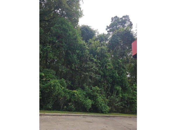0 Moore Street, Walterboro, SC 29488