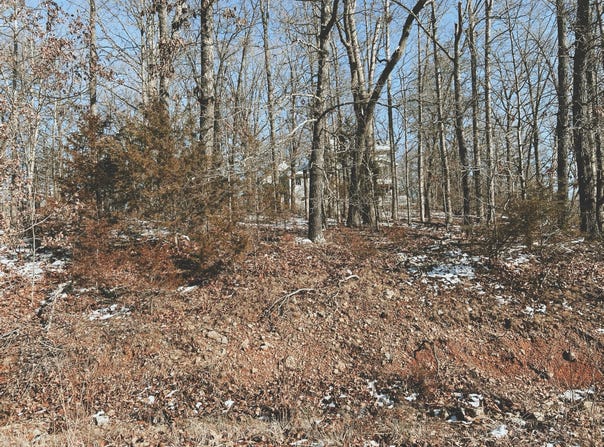 Lot 3 Block 13 Morrison Sub, West Plains, MO 65775