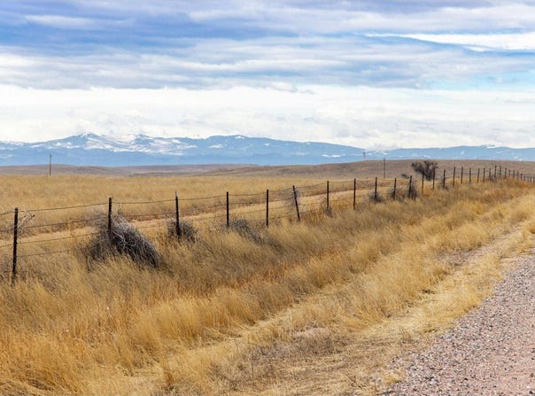 46 TBD County Road, Carr, CO 80612