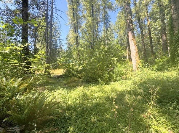 65425 E TIMBERLINE Dr, Rhododendron, OR 97049
