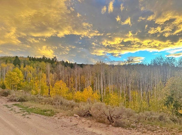 78 PLAT D, SOLDIER SUMMIT ESTATES Dr, Spanish Fork, UT 84660