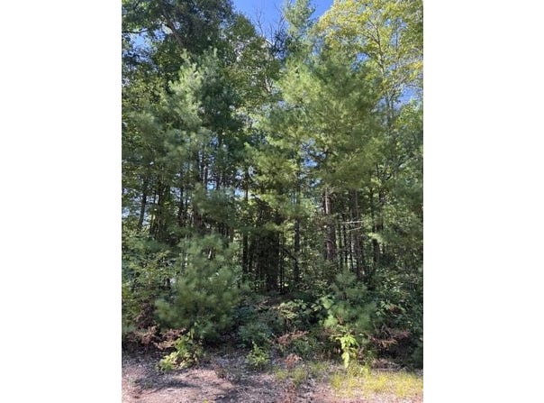 V/L S Pershing Road, Baldwin, MI 49304