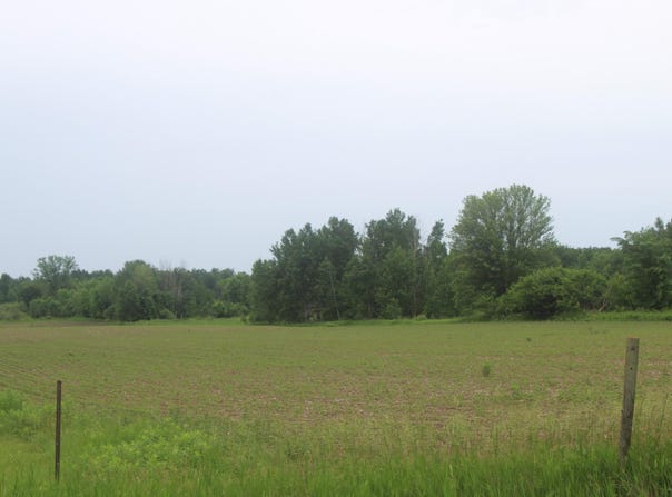 TBD-1 120th Avenue, Ogilvie, MN 56358