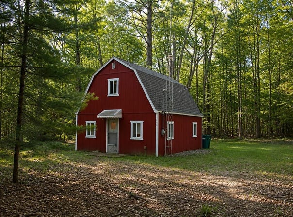 2425 Cora Lane, Prescott, MI 48756
