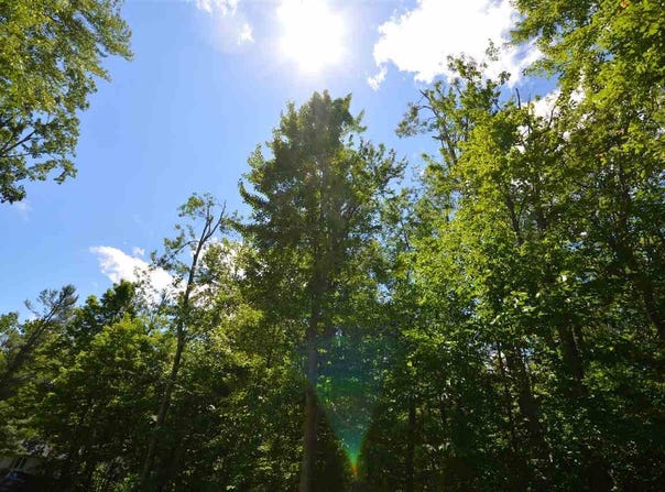 8294 Ridgeway Road, Petoskey, MI 49770