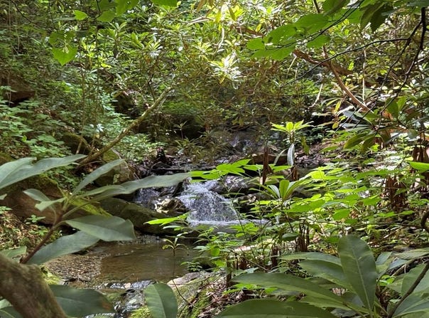 Copperhead Road lot: 5, Sylva, NC 28779