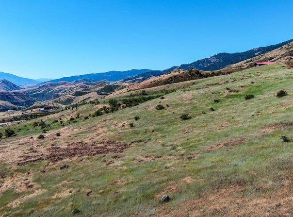 Doumecq Road, White Bird, ID 83554