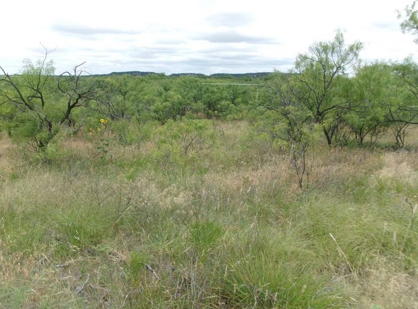 174 CR 182, Ovalo, TX 79541