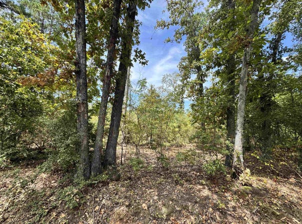 CR 222, Henderson, TX 75652