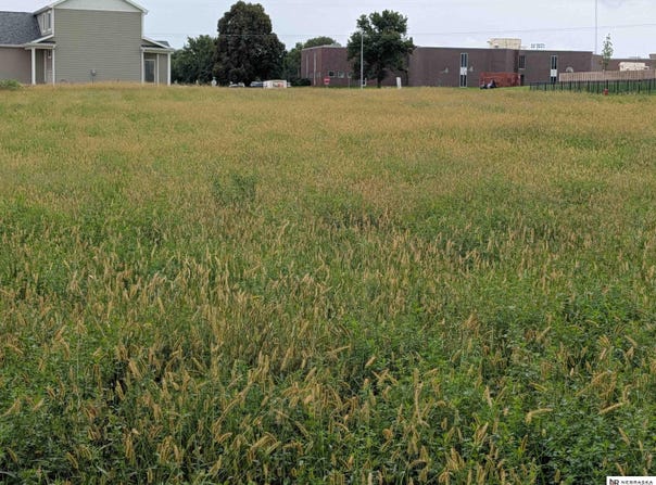 N HIGHLANDS Street lot: 1, Wahoo, NE 68066-1065