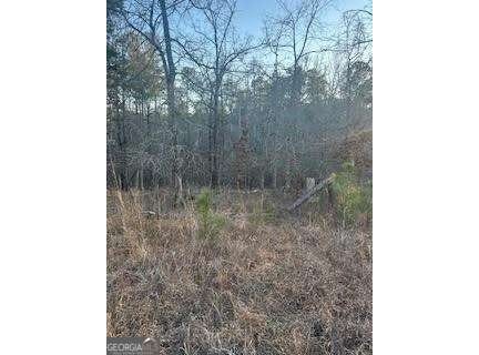 River Ridge Trail, Sparta, GA 31087