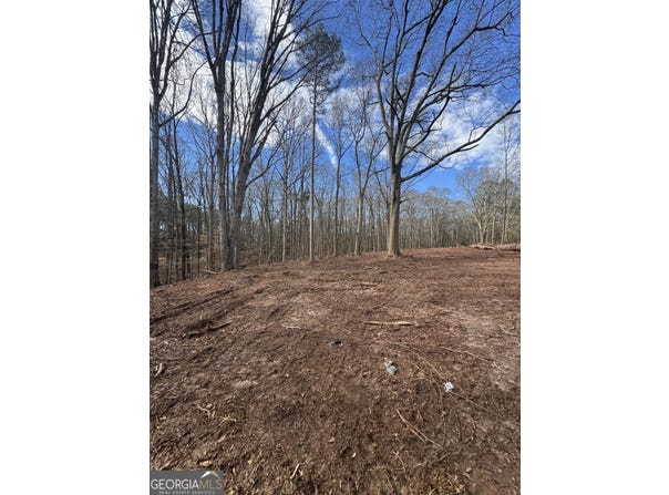 231 Roosevelt Circle, Bowman, GA 30624
