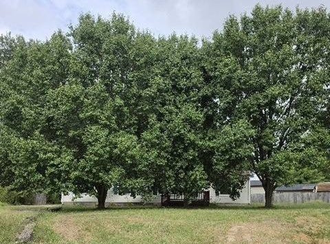 301 Illini Dr, Watson, IL 62473
