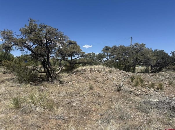 Kiowa Trail, South Fork, CO 81154