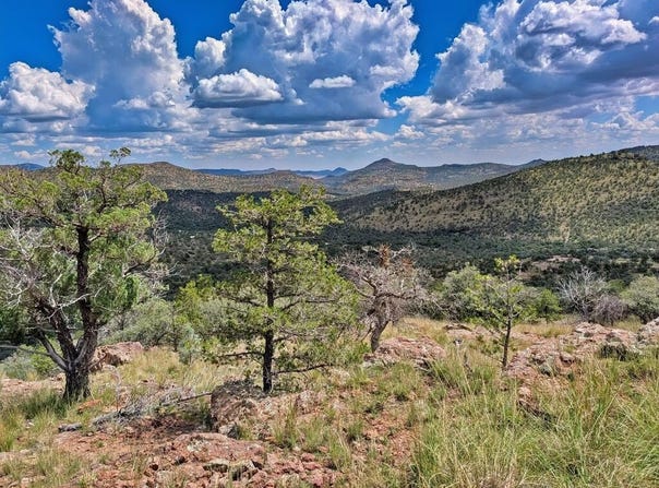 114 High Meadow Trail, Fort Davis, TX 79734