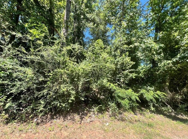 PID 80439 Allentown Loop, Pollok, TX 75969
