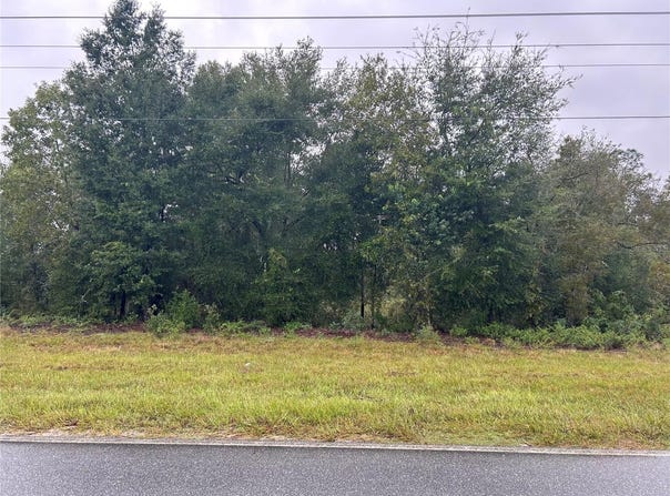 NE 110TH Street, BRONSON, FL 32621