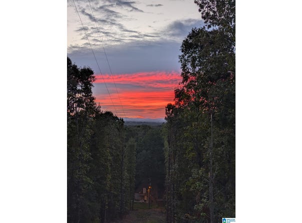 345 COUNTY ROAD 467, VINCENT, AL 35178
