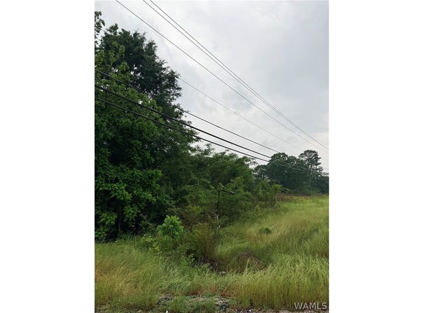 University Blvd E, Tuscaloosa, AL 35453