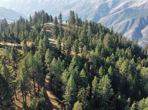 Pardee Road, Kamiah, ID 83536