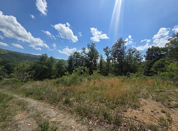 Seneca Trl S, Peterstown, WV 24963